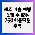 제주 가을 여행, 놓칠 수 없는 7곳! 아름다운 풍경과 추억 만들기