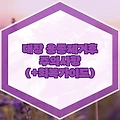 대장 용종제거후 주의사항 (+회복가이드)
