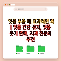 잇몸 부을 때 효과적인 약 | 잇몸 건강 유지, 잇몸 붓기 완화, 치과 전문의 추천