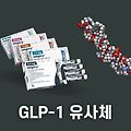 GLP-1 유사체란 무엇인가 (비만 치료제 호르몬)