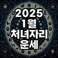 2025년 1월 처녀자리 운세(사랑 연애 학업 직업 숫자)