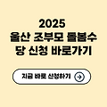 2025 울산 조부모 돌봄수당 신청 바로가기✅