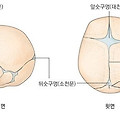 신생아 대천문 소천문의 위치 및 주의사항