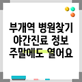 부개역 휴일 병원 찾기|야간진료 병원|공휴일 문여는 곳 |주말 여는 곳