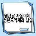 월급날 자동이체! 청년도약계좌 납입