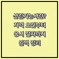 산림기능사란? — 자격 요건부터 응시 절차까지 완벽 정리