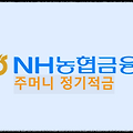 NH농협 주머니(money) 정기적금 : 정보 알아보고 계좌개설하기