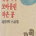 난장이가 쏘아올린 작은 공 - 한국 사회를 꿰뚫은 문학적 통찰