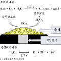 창업성장기술개발사업 (디딤돌) 사업계획서 합격 전략 04 - 선행연구 결과 및 애로사항