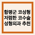 함평군 코성형 코수술 잘하는곳 성형외과 추천 | 가격 비용 금액 후기 상담 위치 영업시간 저렴한곳!