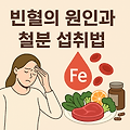 빈혈의 원인과 철분 섭취법: 건강한 혈액을 위한 필수 가이드