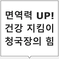 청국장의 효능 – 장 건강과 면역력 강화에 좋은 발효식품, 겨울철 건강 지킴이