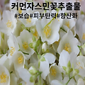 피부 위협하는 미세먼지·꽃가루·자외선···  "천연 차단제" 1편