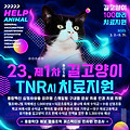 헬프애니멀, 'TNR 치료지원 사업' 재개