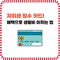 1인 가구 맞춤형 카드 추천 및 혜택 활용법