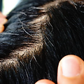 article_thumbnail_12