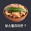 보스웰리아 효능 부작용 가격 추천 !