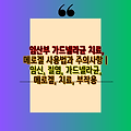 임산부 가드넬라균 치료, 메로겔 사용법과 주의사항 | 임신, 질염, 가드넬라균, 메로겔, 치료, 부작용