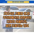 2024년 교통법 변경! 주차 방해 행위 과태료 100만원 부터 대포 차 처벌까지, 알면 도움 되는 정보