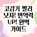 환절기 코감기, 빨리 낫는 법: 면역력 강화부터 증상 완화까지 완벽 가이드