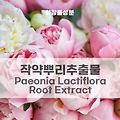 작약뿌리추출물(Paeonia Lactiflora Root Extract) 미백 진정효과