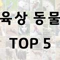육상 동물 크기 순위 TOP 5