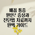 오른쪽 배꼽 통증의 모든 것: 원인, 증상, 진단, 그리고 치료까지