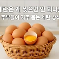 계란은 왜 씻으면 안 되나요? 주부들이 자주 묻는 계란 상식