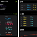 (5KM 러닝) 2024. 09. 25. Day 43 Note