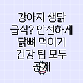 강아지에게 생닭과 닭뼈, 안전하게 줄 수 있을까요? 🐶🦴