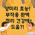 양미리 효능과 부작용 완벽 정리: 건강에 미치는 영향은?