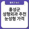 홍성군 성형외과 추천 코성형후기 리프팅거상 지방성형 가슴성형 눈성형가격