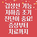 갑상선 기능 저하증, 조기 진단이 중요한 이유: 증상, 원인, 치료법까지 알아보세요!