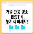 가을 단풍 명소 누비는 단풍 여행 BEST 4: 놓치지 말아야 할 황홀한 풍경들!