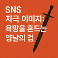 SNS 자극 이미지: 욕망을 흔드는 양날의 검