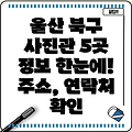 울산 북구 효문동 사진관 5곳 운영시간, 주소, 위치, 전화번호 총정리