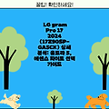 LG gram Pro 17 2024 (17Z90SP-GA5CK) 상세 분석: 울트라 5, 에센스 화이트 선택 가이드