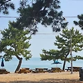 완도 명사십리해수욕장 반려견과의 평일 산책 후기