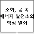 소화 효소가 부족할 때 나타나는 증상과 해결법 완벽 가이드