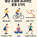 혈당 조절에 가장 효과적인 운동 종류: 당뇨 예방과 관리의 핵심