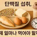 단백질 섭취, 언제 얼마나 먹어야 할까?
