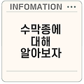 수막종이란 무엇일까? 증상 및 치료는