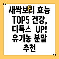 새싹보리 효능 TOP 5 & 유기농 분말 추천: 건강, 디톡스, 면역력 UP!