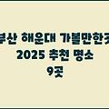 부산 해운대 가볼만한곳 2025 추천 명소 9곳