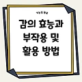 감의 효능과 부작용 및 활용 방법을 통한 건강 관리