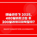테슬라 주가 2025, 480달러 최고점 후 200달러까지 하락할까?