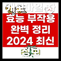 캐모마일 차 효능과 부작용 완벽 가이드: 2024년 최신 정보