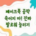 『페이크북 공략: 속이지 마! 진짜 팔로워 늘리기』