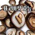 표고버섯의 효능과 부작용 및 주의사항