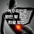 척추측만증 원인 및 증상 치료방법: 전문 가이드